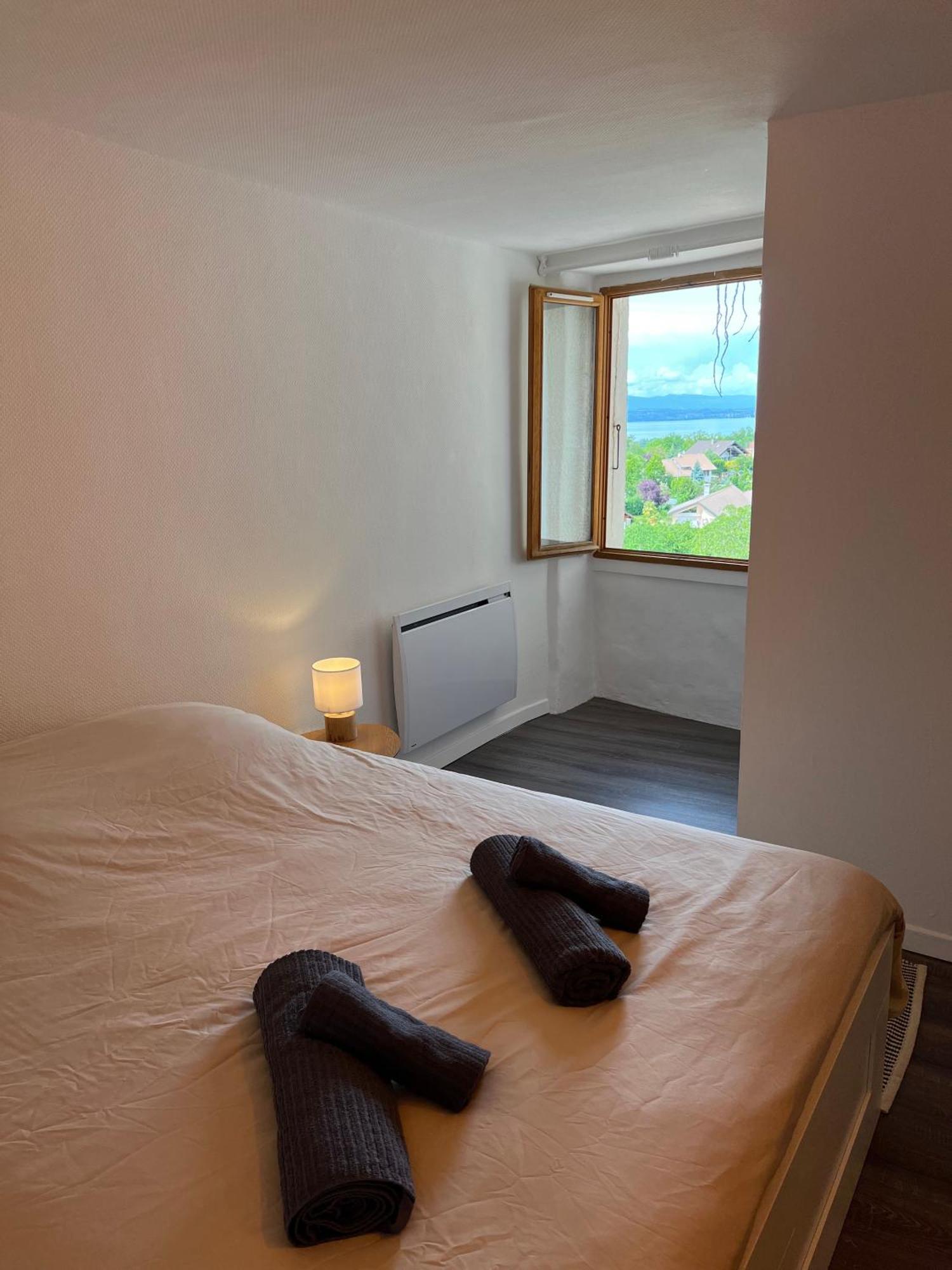 Charmante Maison De Village A 10Min De Thonon-Les-Bains Allinges Εξωτερικό φωτογραφία
